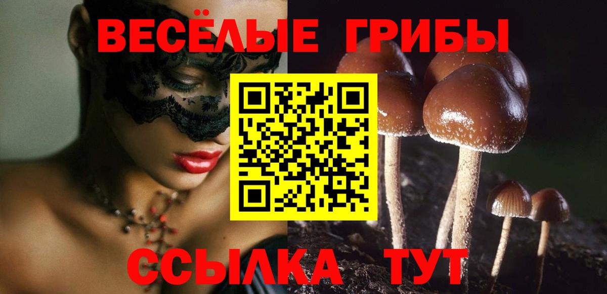 Псилоцибиновые грибы Cubensis Каспийск