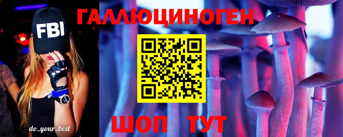 Псилоцибиновые грибы Psilocybe  Вход с VPN  Каспийск 